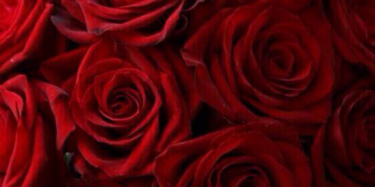22Longing's profile banner image
