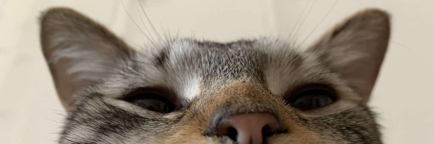 hanbunn's profile banner image