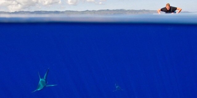 Piasexi's profile banner image
