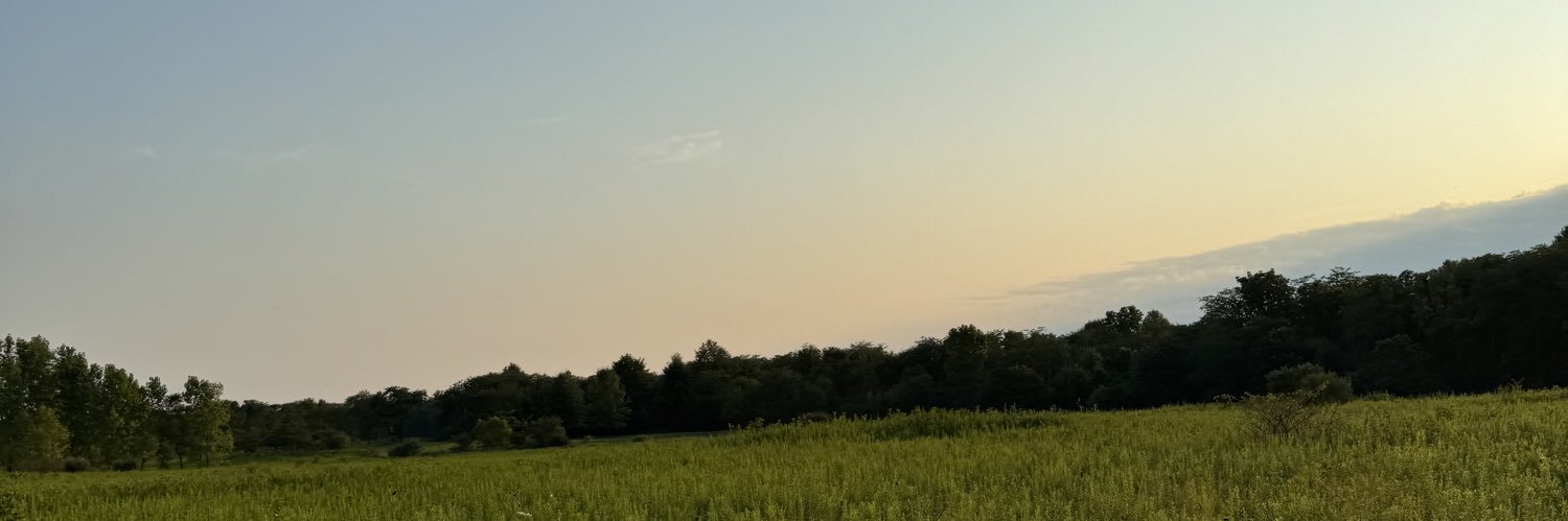 Colin Purcell banner