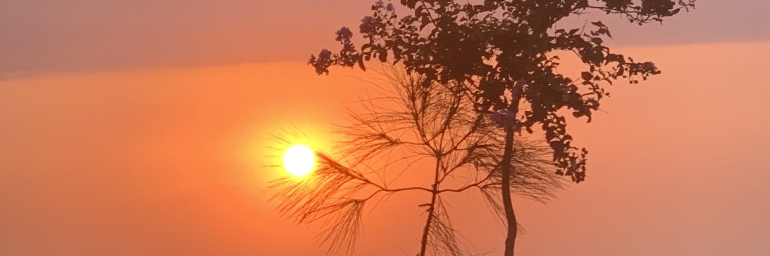 Y_c22's profile banner image