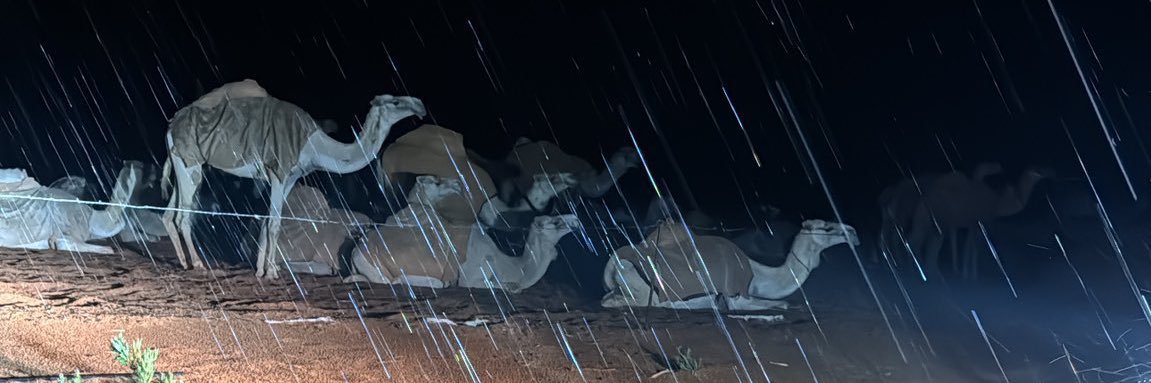 sh3er_3's profile banner image