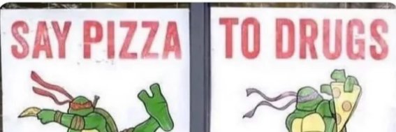 rainbow-flyer🌈🔞 banner