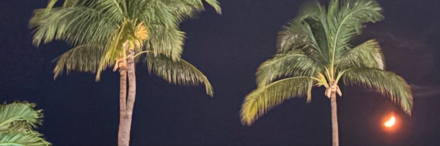 sushidebistec's profile banner image