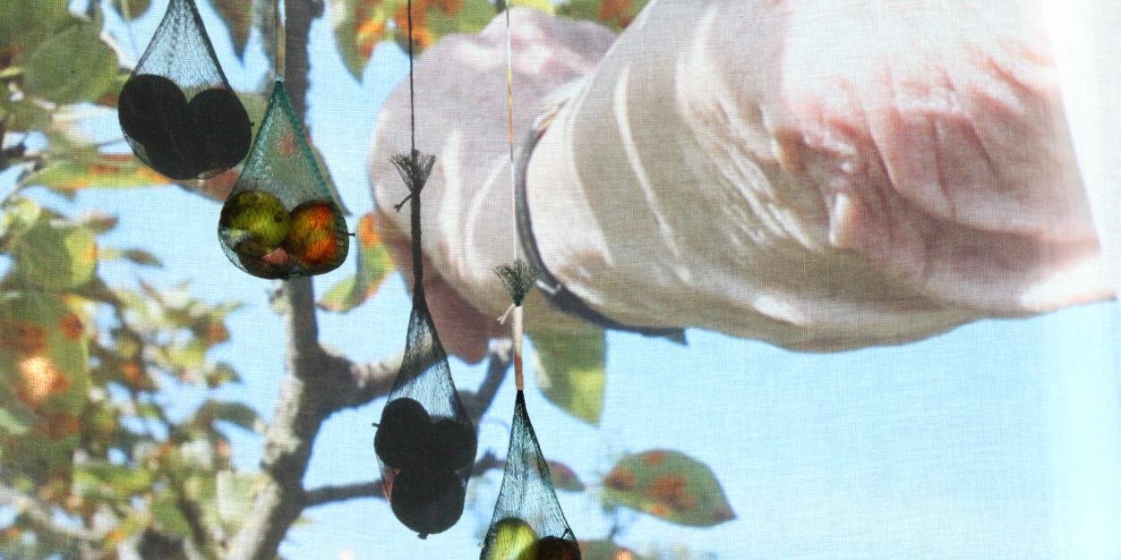 JoHellier's profile banner image