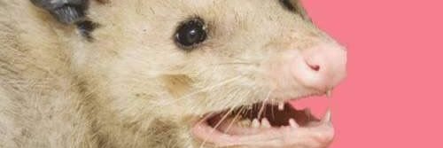 ItsAmyClareMate's profile banner image