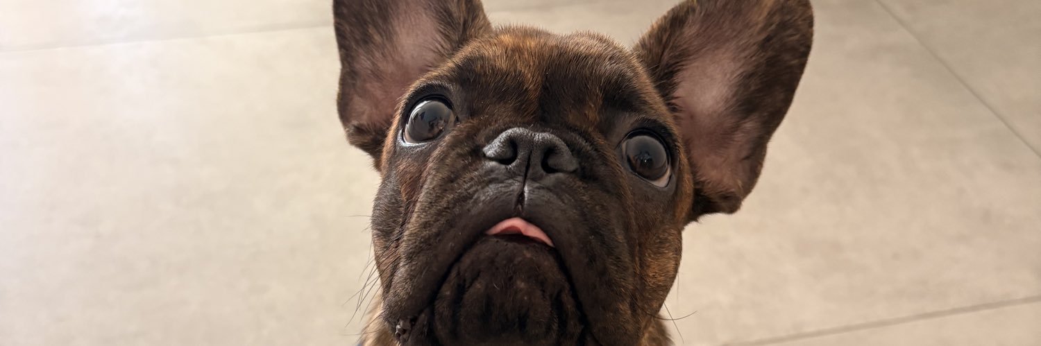 MayAyelenn's profile banner image