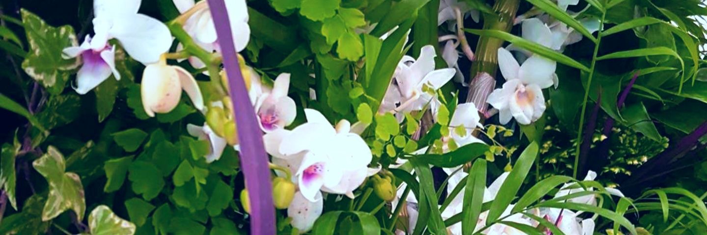 AQUAPHUTON's profile banner image
