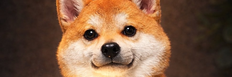 chibiayaa's profile banner image