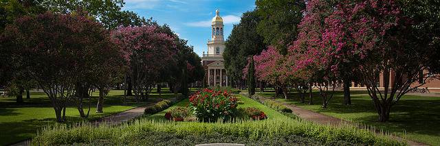 Nancy Hidy Wilson banner