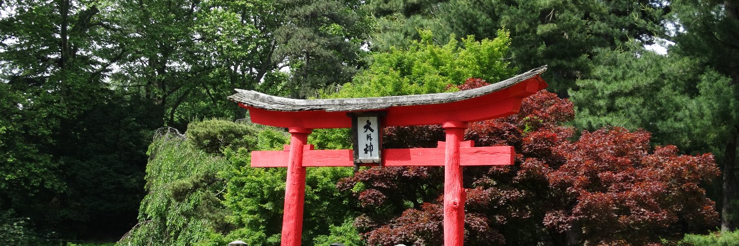 Christine LaRubio banner