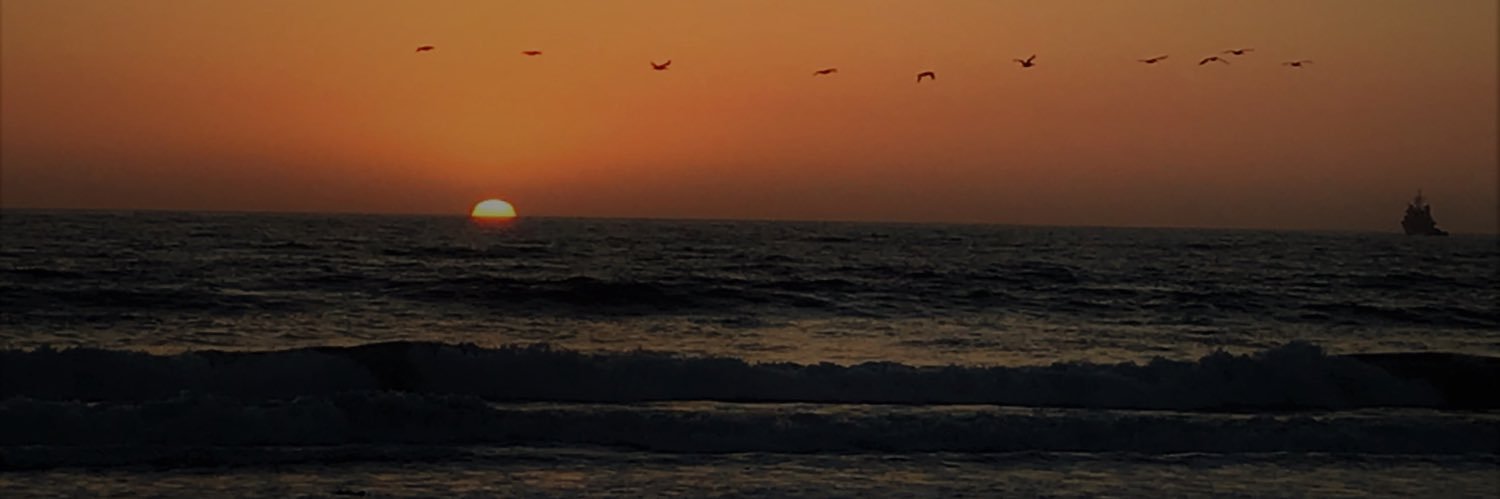 Calliee_Gracee's profile banner image