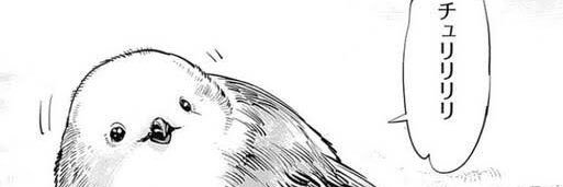 pooon_17's profile banner image