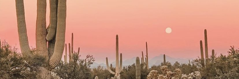 jessicaekegren's profile banner image