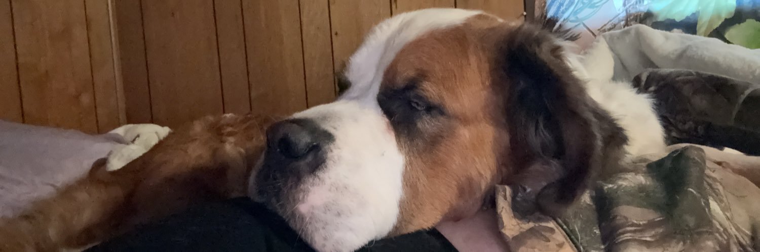 D_Dash2015's profile banner image
