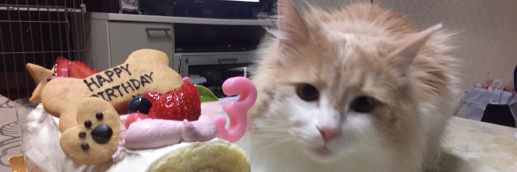 frower43's profile banner image