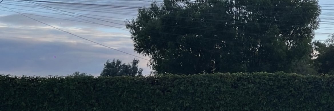 Alex Angeles  ◢◤ banner