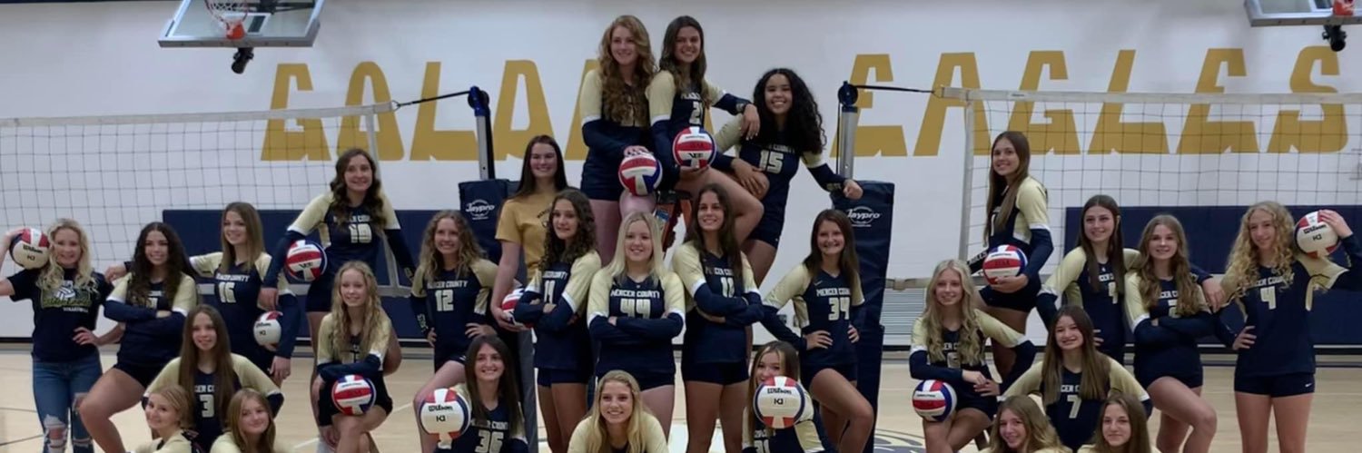MerCo Volleyball banner