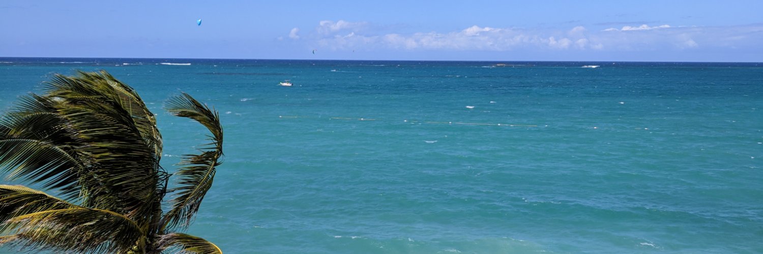 Gillian Morris banner