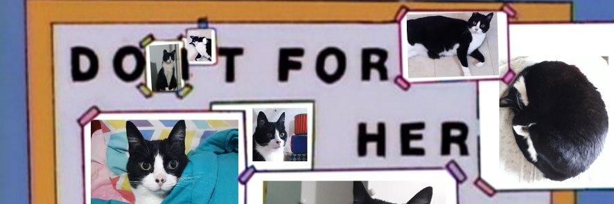 Mica banner