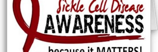 SCDAIllinois Profile Banner