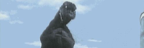 dasasquatch2's profile banner image
