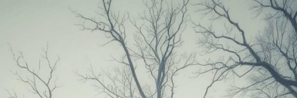 Kenzie7187's profile banner image