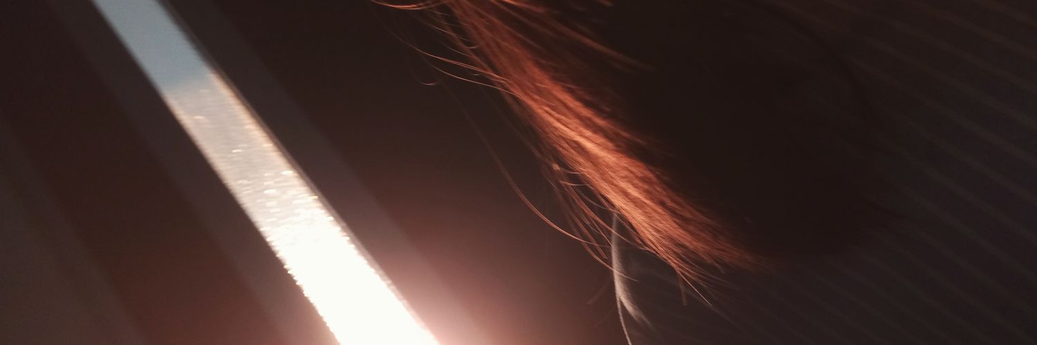 childishdish's profile banner image