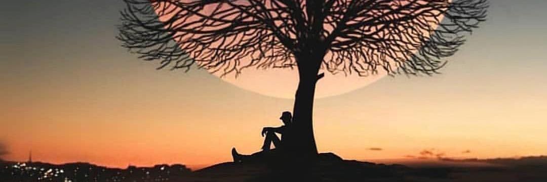 Sister Night 🌃🌈🏳️‍🌈 🇺🇦 banner