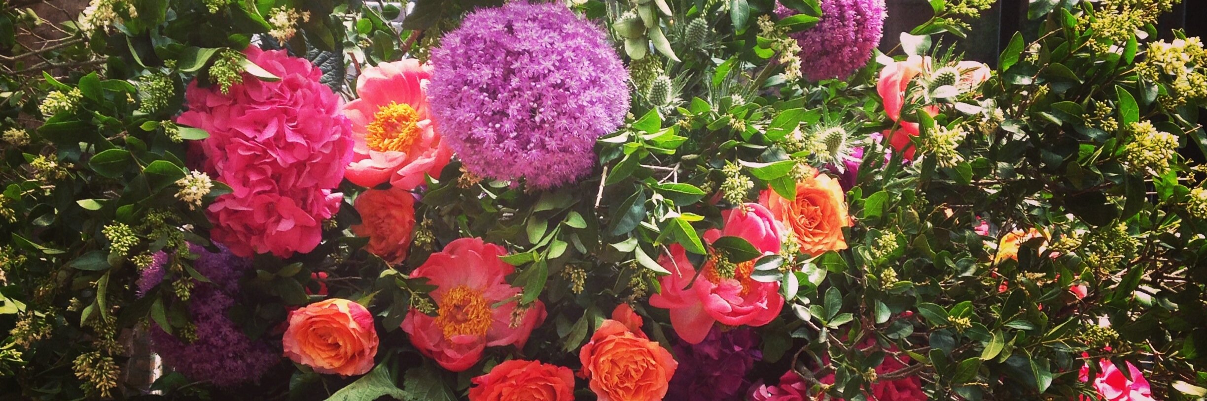 blossombranch's profile banner image