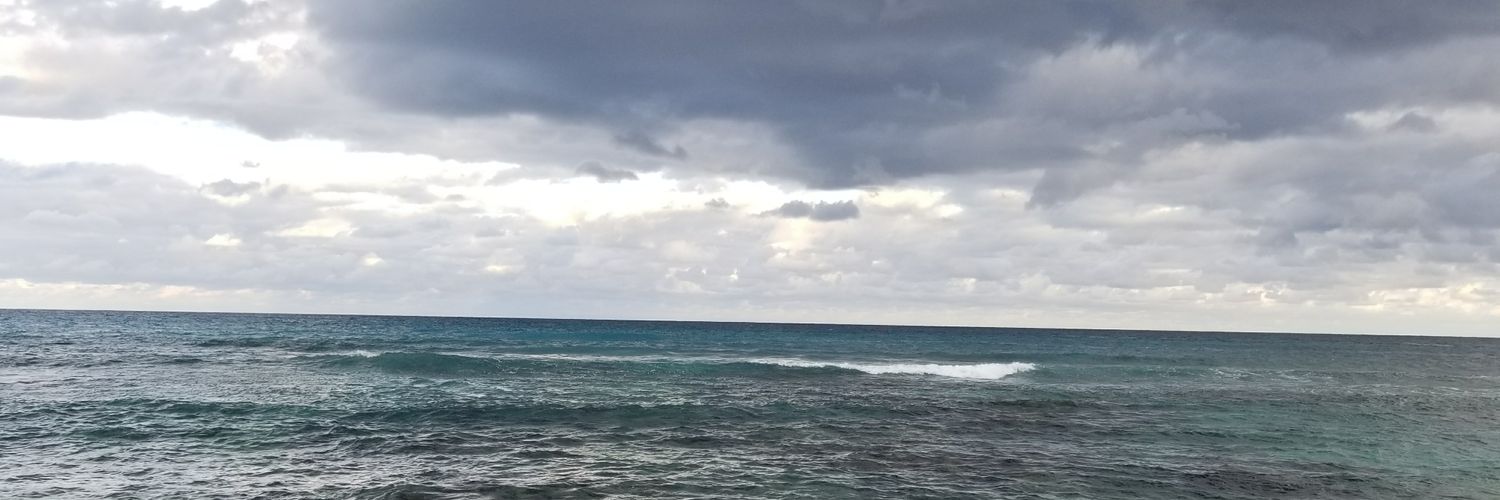 TheRealVazDef's profile banner image