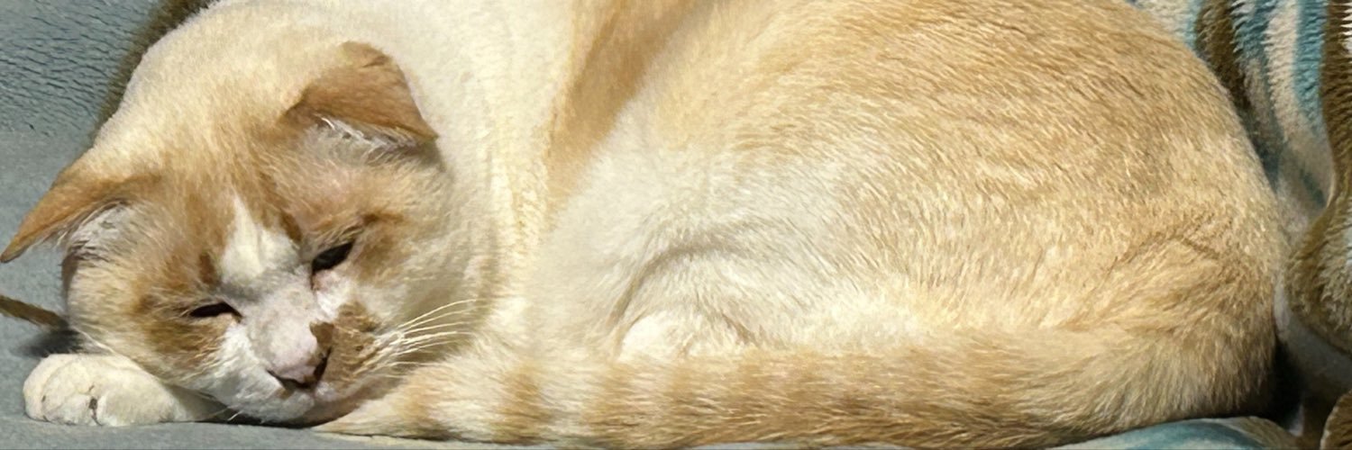 AprilcatMei's profile banner image