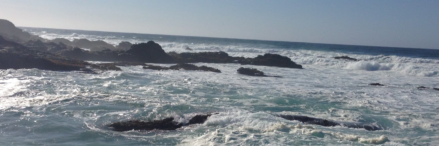 BioChar87's profile banner image