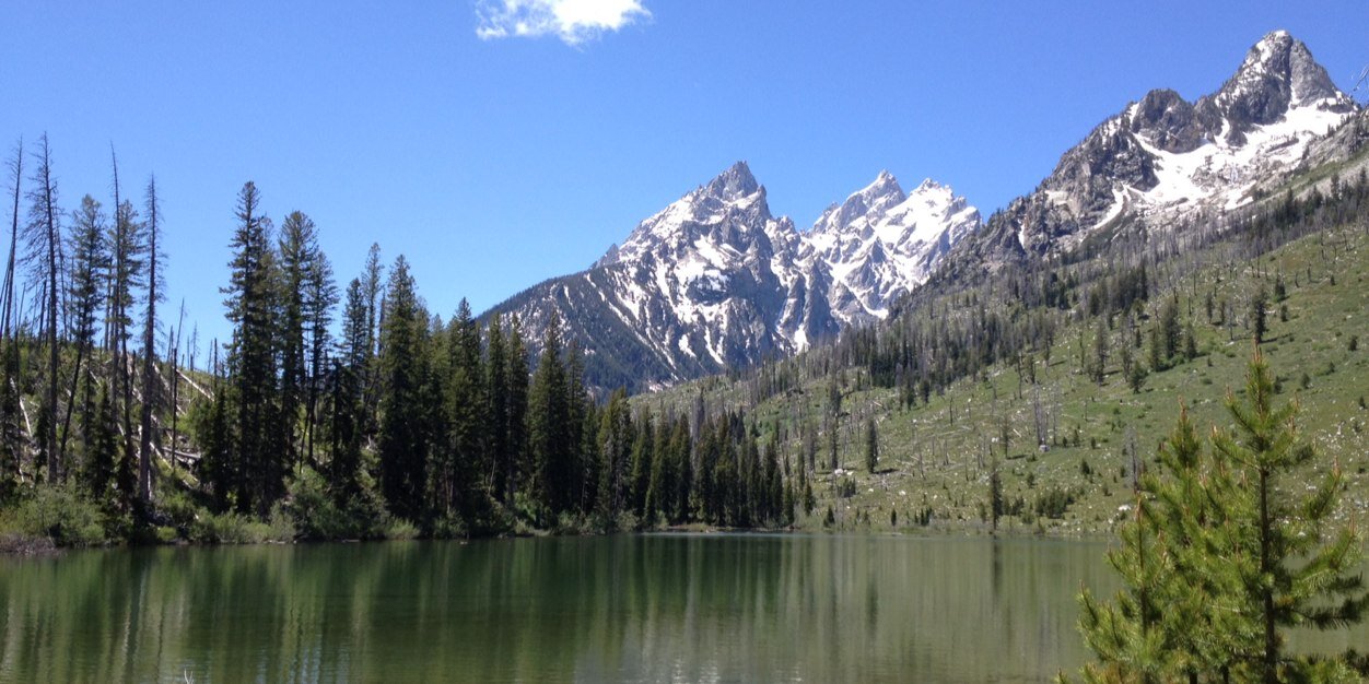 jroyal92's profile banner image