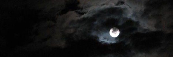 ConfusedWeirdo_ Profile Banner