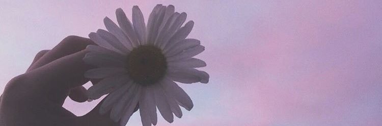 c_y08129013ing's profile banner image