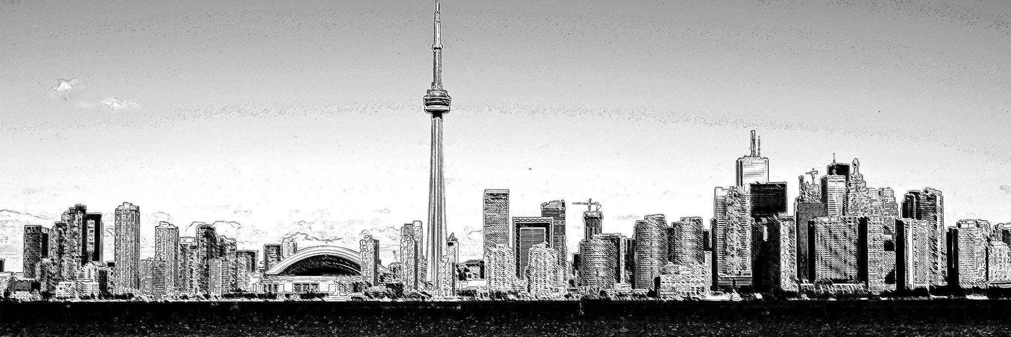 STC_TO's profile banner image