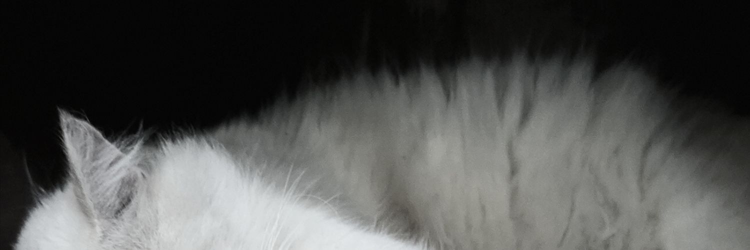 urfavobee's profile banner image