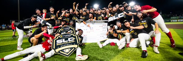 Nicholls_BSB Profile Banner
