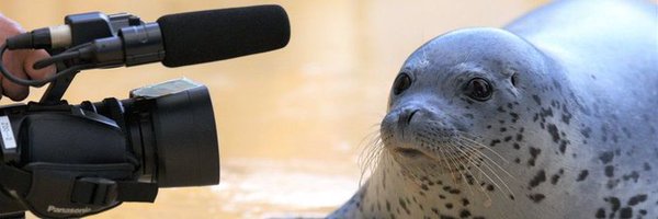 DewEnjoyer Profile Banner