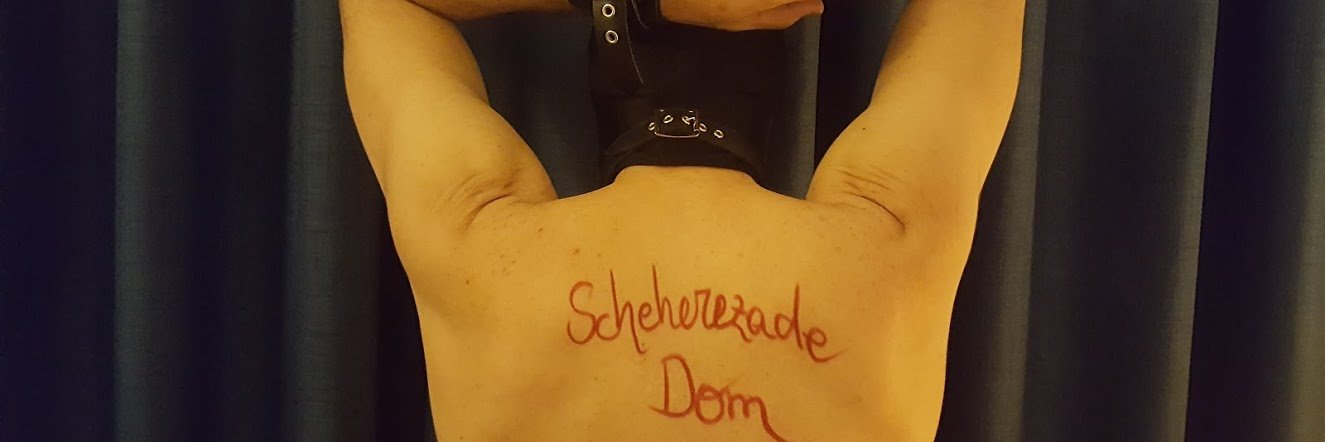ScheherezadeDom banner