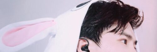 xoxonbm's profile banner image