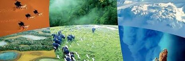 WonderVinod Profile Banner