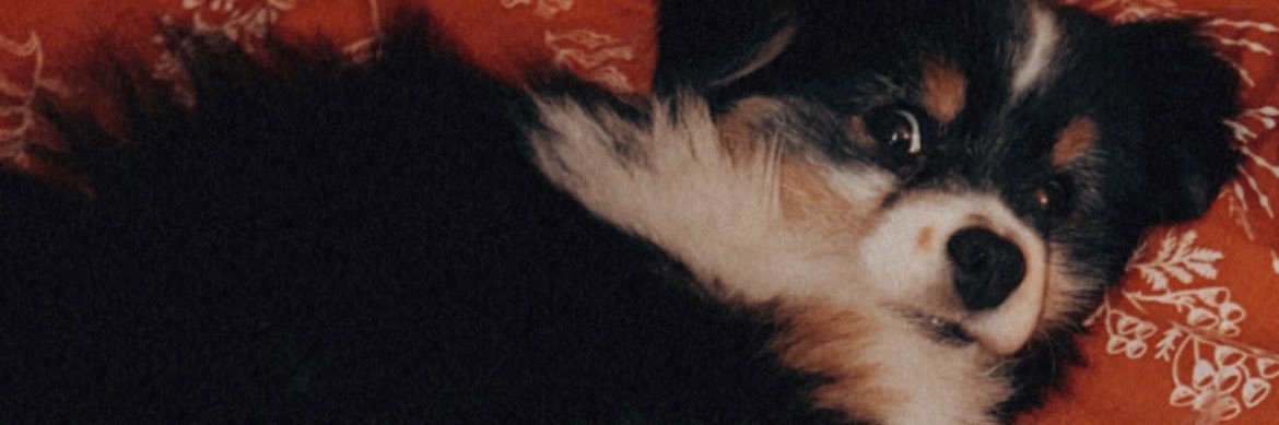 claireandersxn's profile banner image