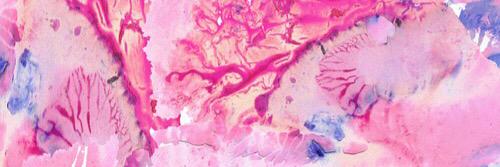 Desy Yuliana Amerita banner