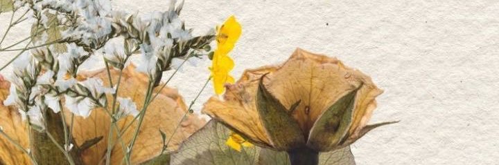 indriaajeng's profile banner image