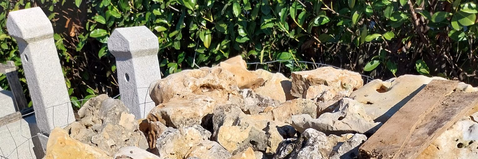RonchiGiuseppe's profile banner image