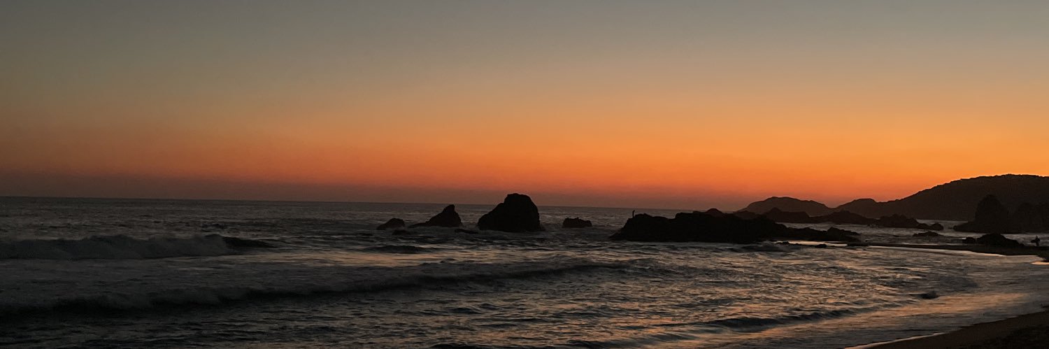 Pam_Montt's profile banner image