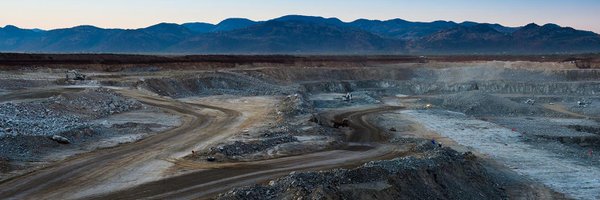 pallinghurst Profile Banner