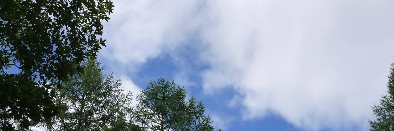Nononkaka's profile banner image